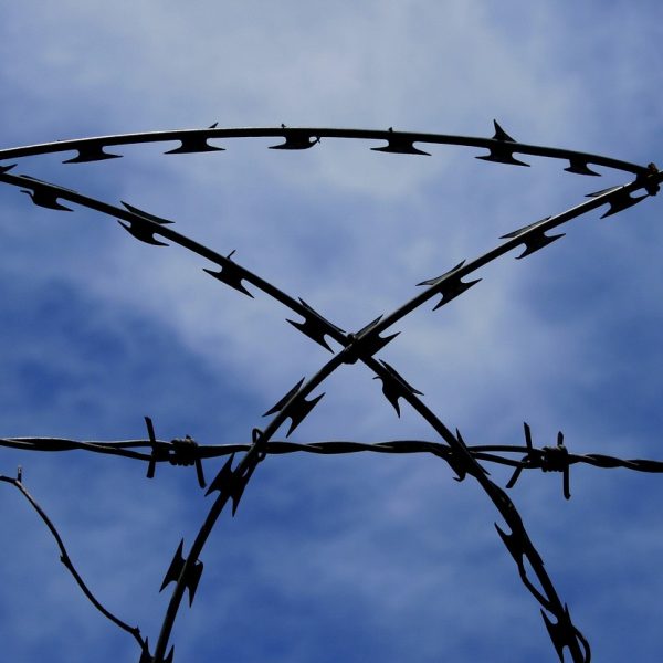 barbed-wire-235759_1280